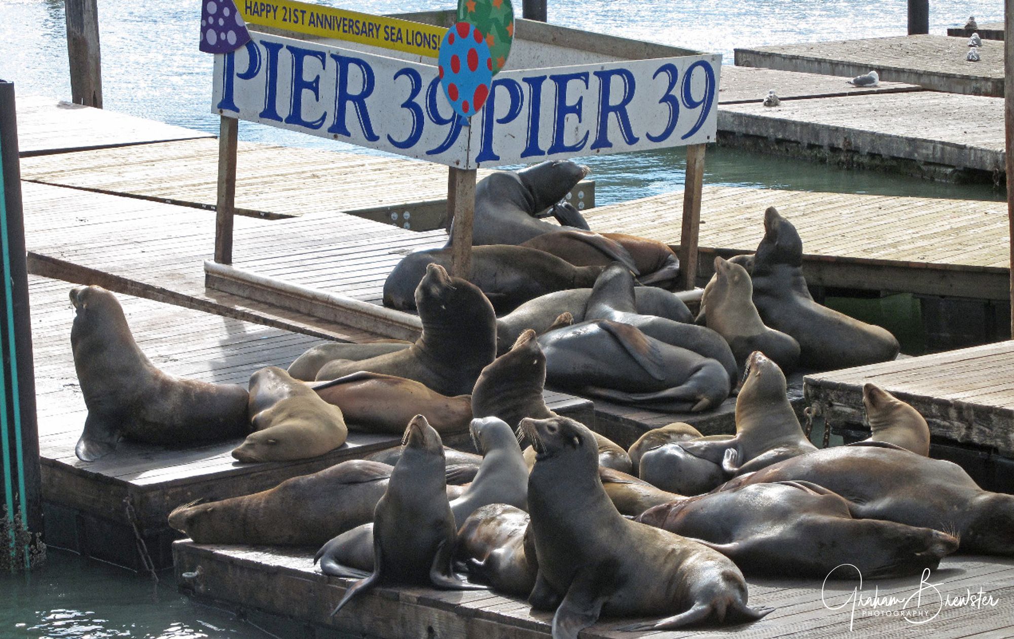San Francisco Prints by Graham Brewster Photography
