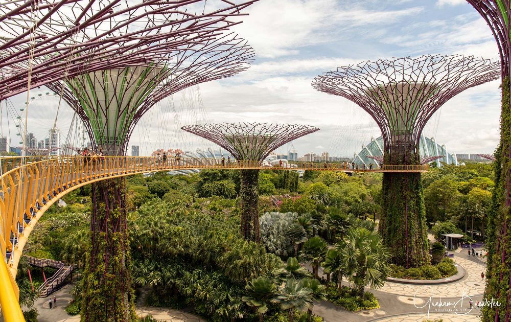 Gardens by the Bay - Graham Brewster Photography - Singapore Prints